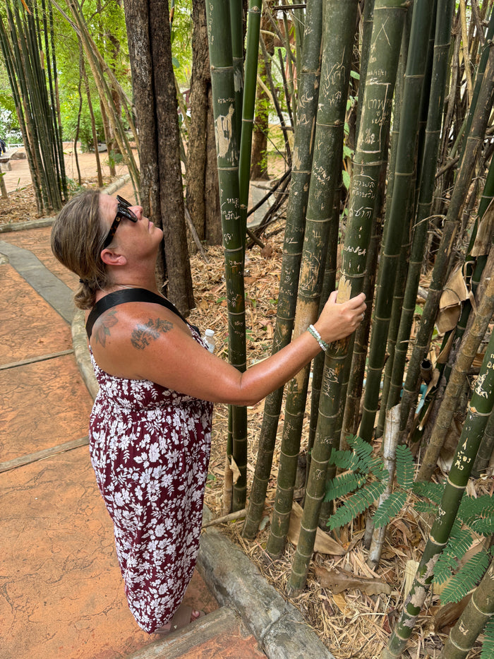 Nong Khai : The Pause Before Crossing