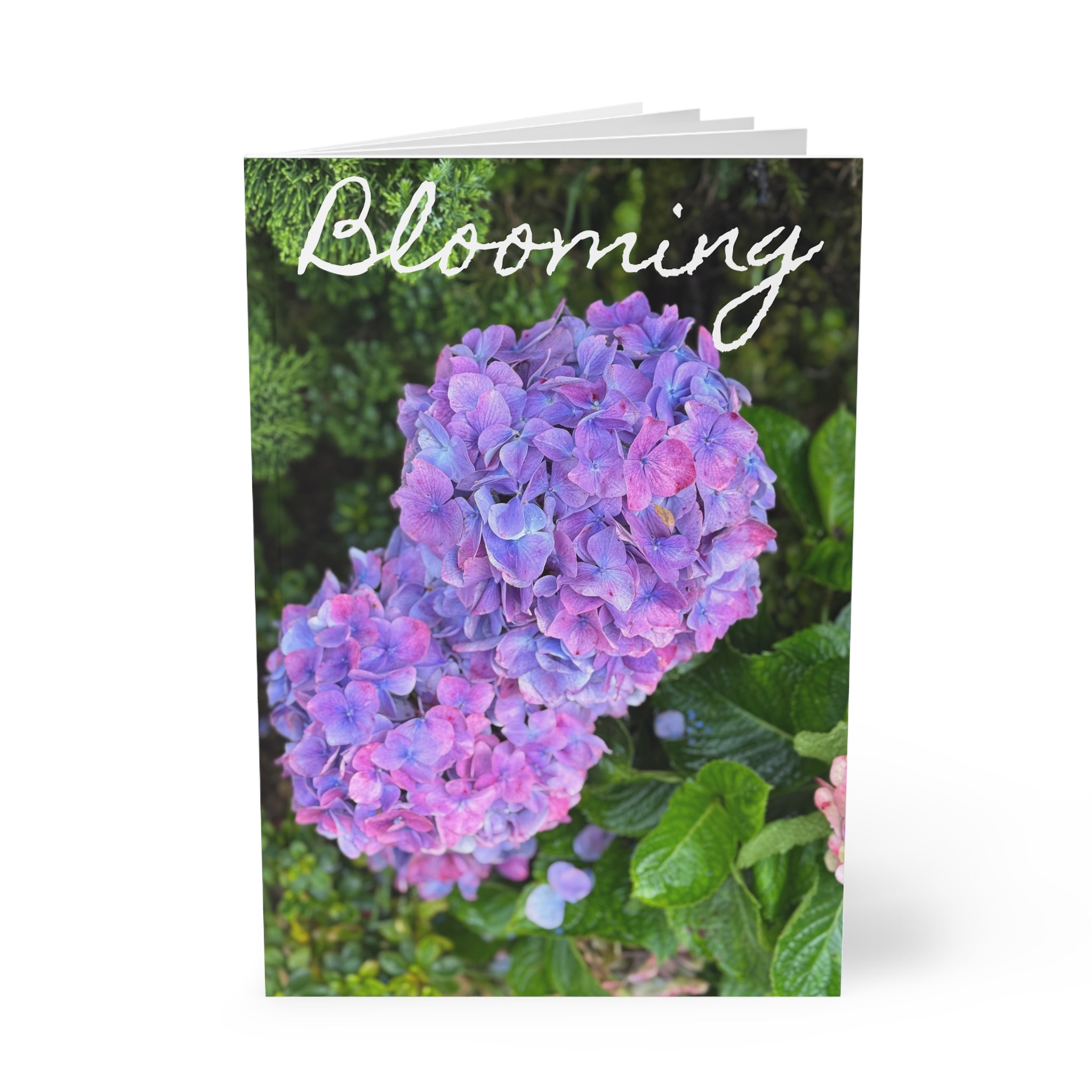 Bloom Where You Are Journal | Her Mood Podcast