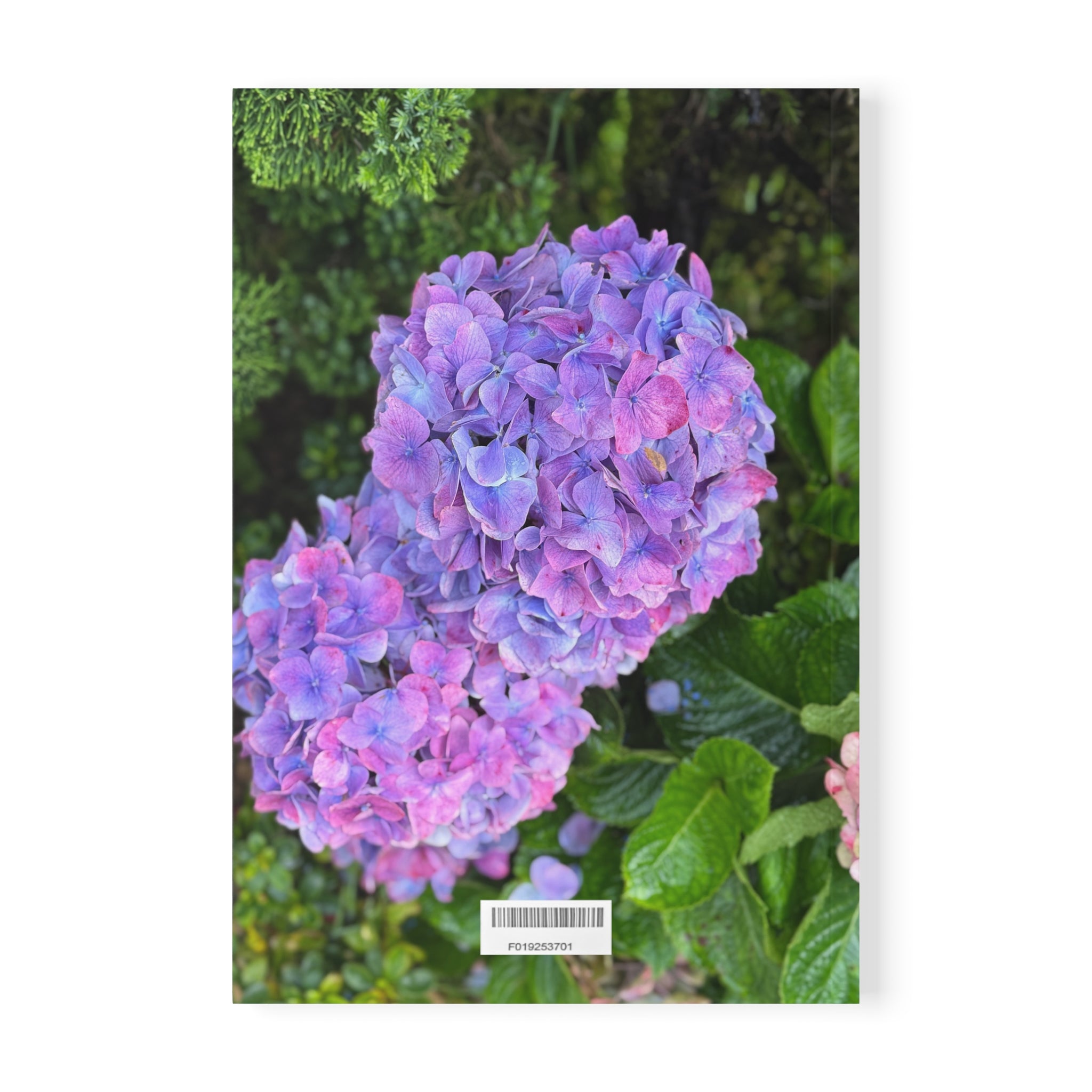 Bloom Where You Are Journal | Her Mood Podcast