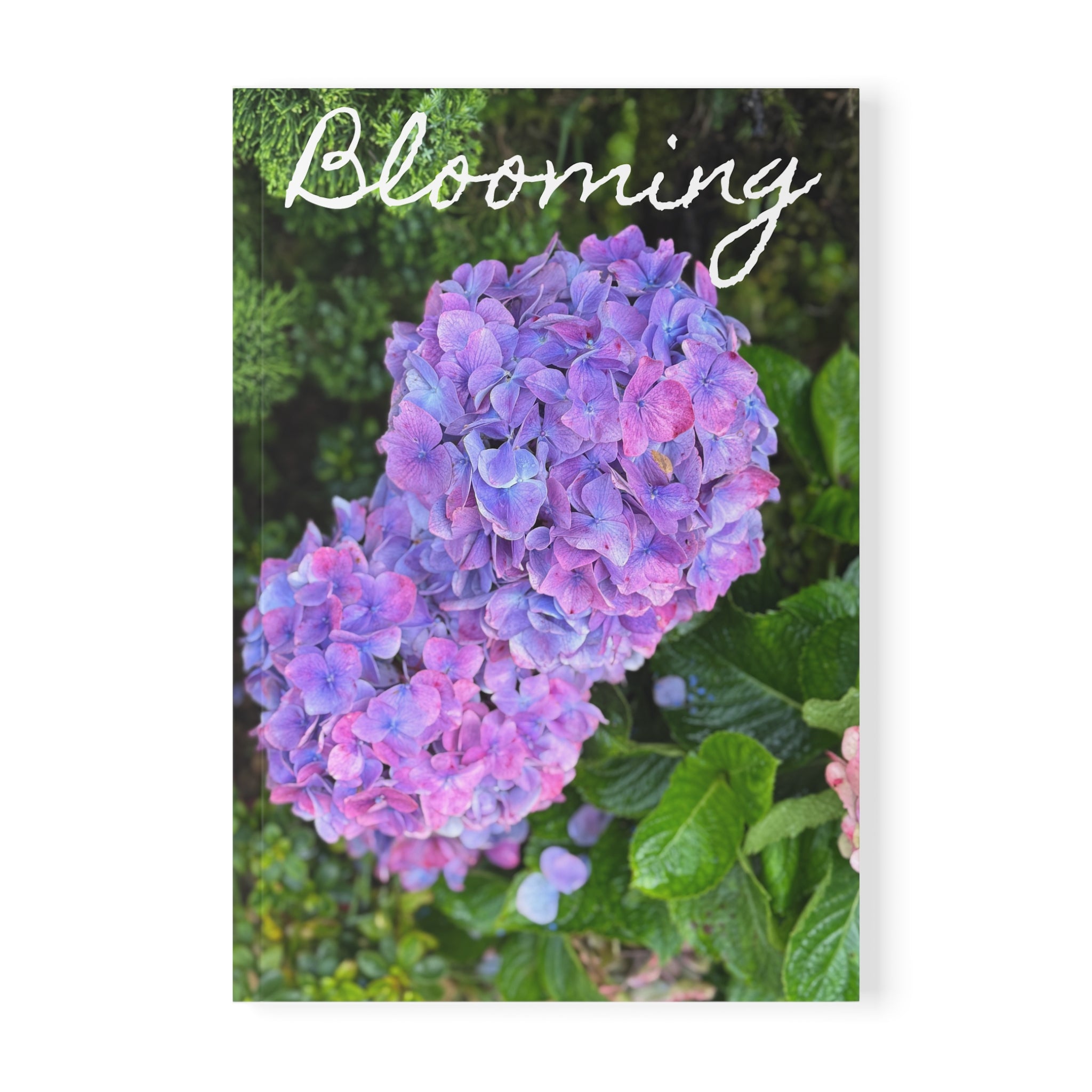 Bloom Where You Are Journal | Her Mood Podcast